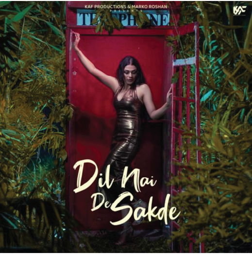 Dil Nai De Sakde